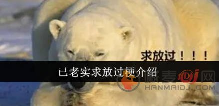 “已老实求放过” 这句网络流行语的意思？